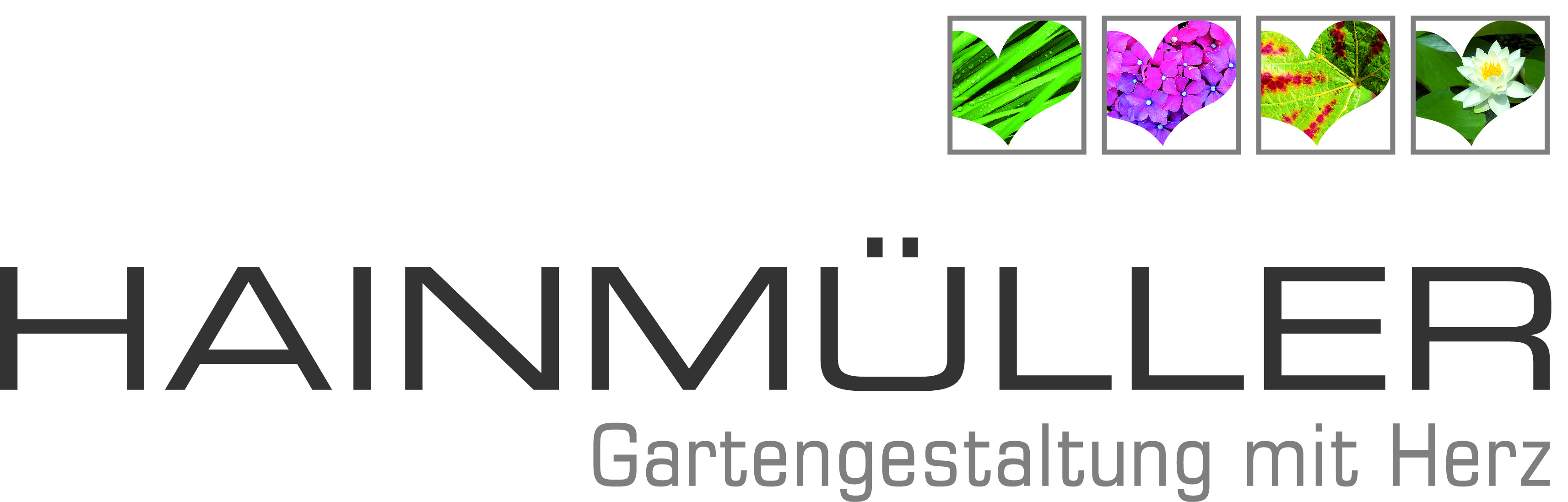 hainmueller-logo